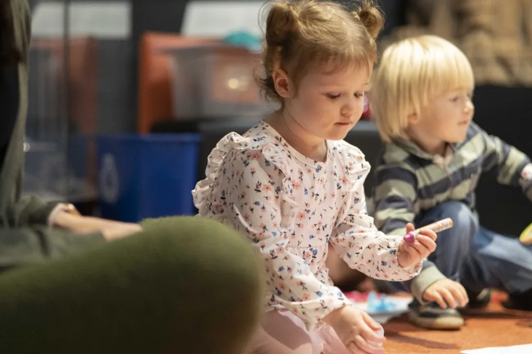 This is the image alt text