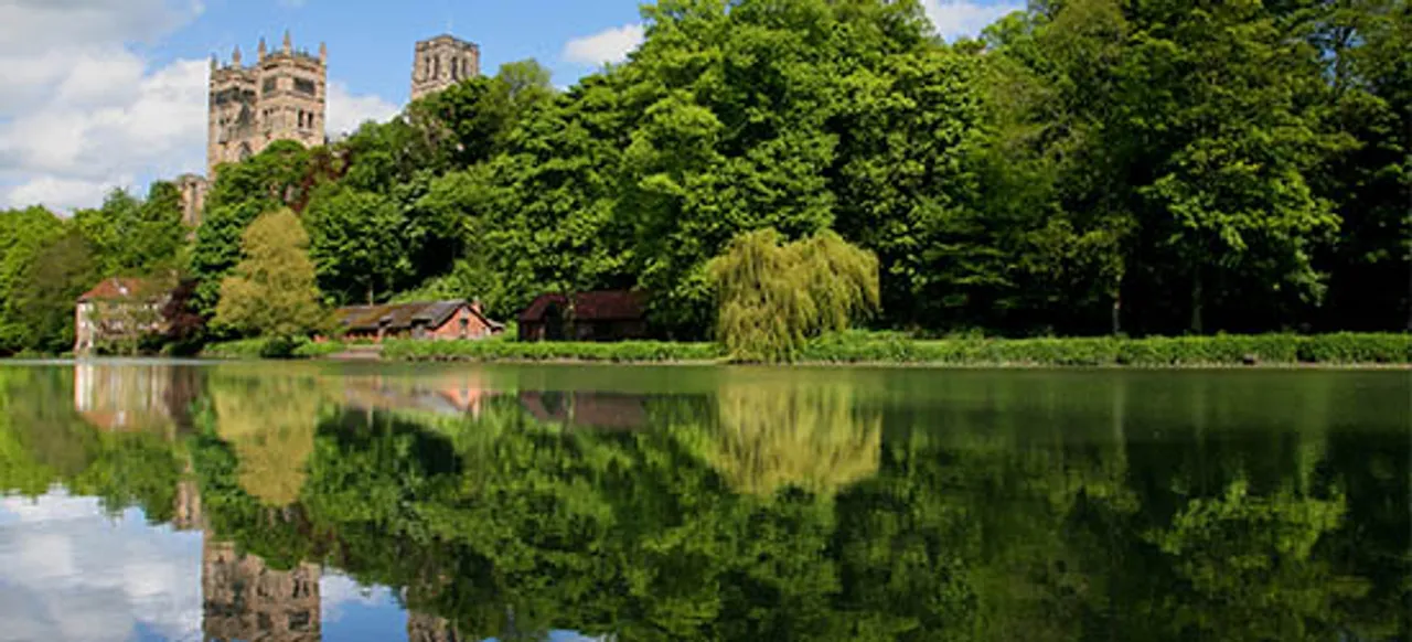 This is the image alt text