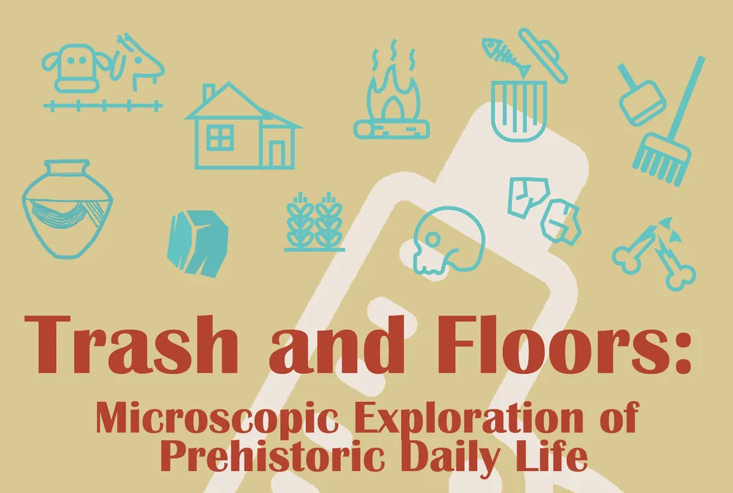 This is the image alt text