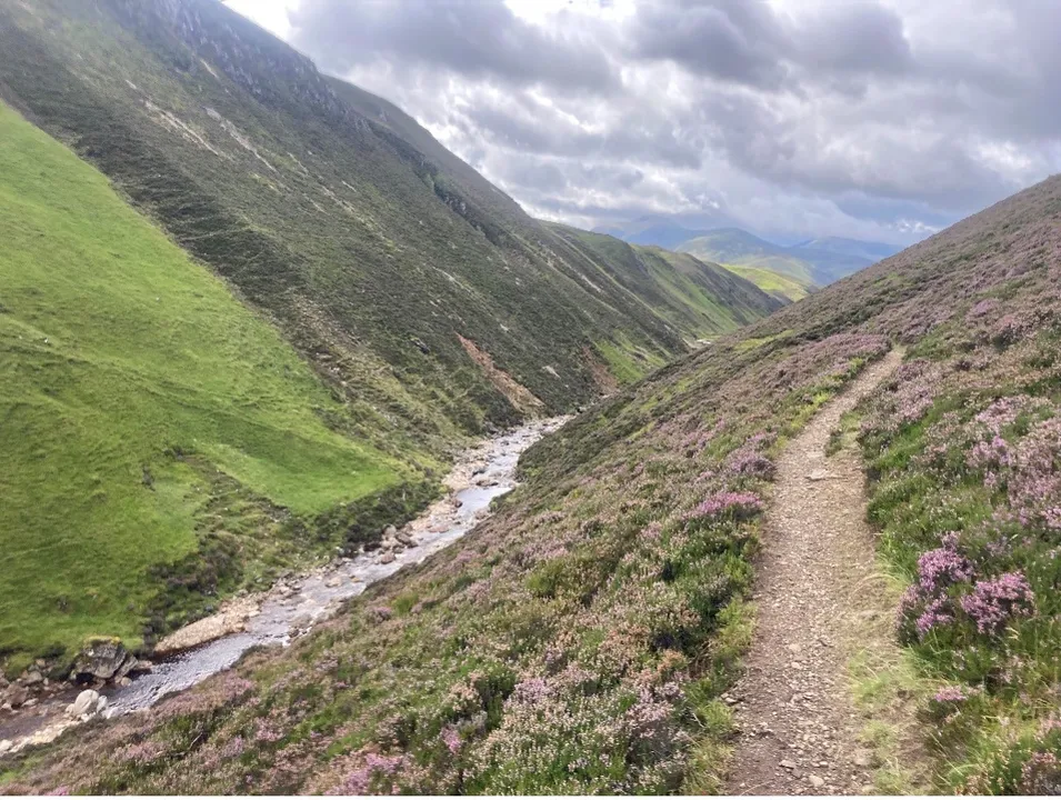 This is the image alt text