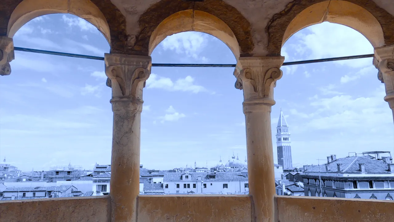 This is the image alt text