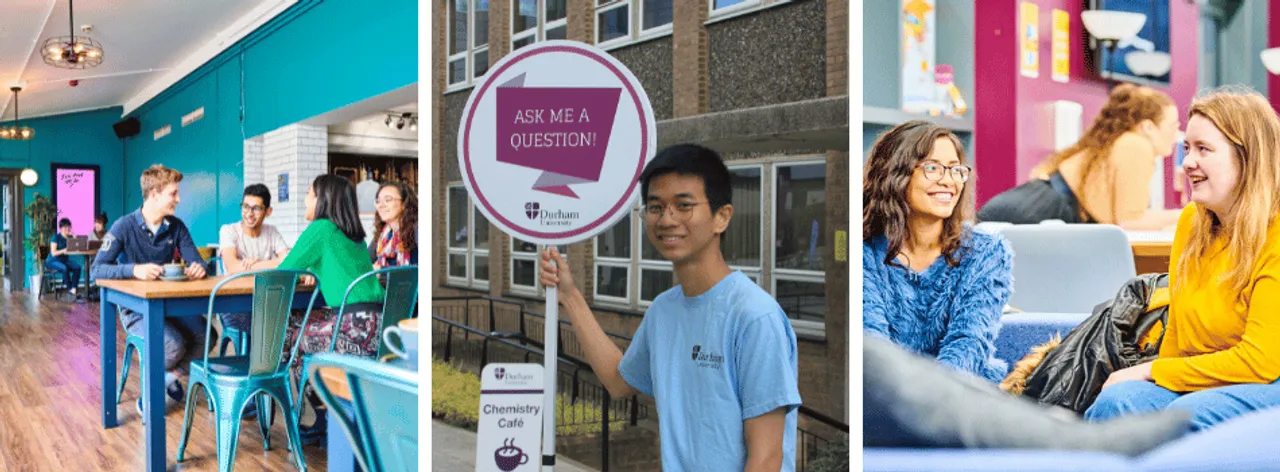 This is the image alt text