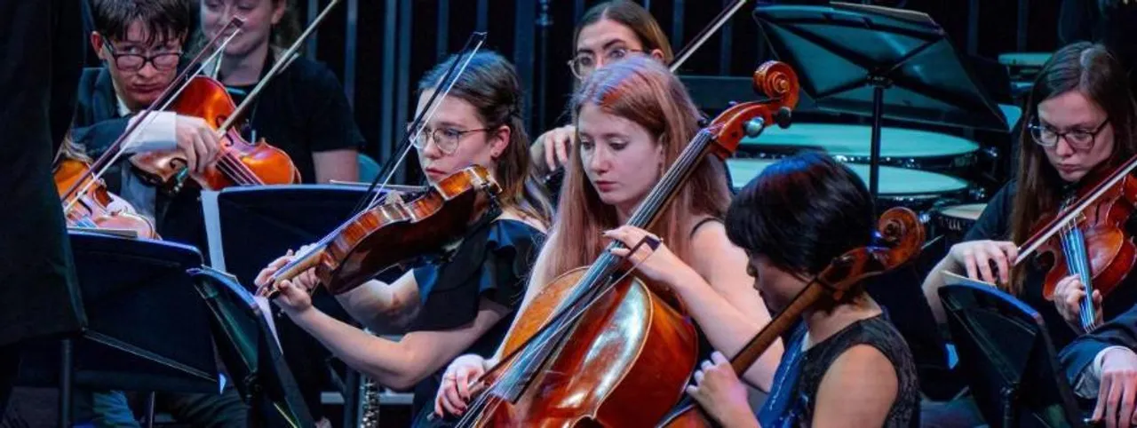 This is the image alt text