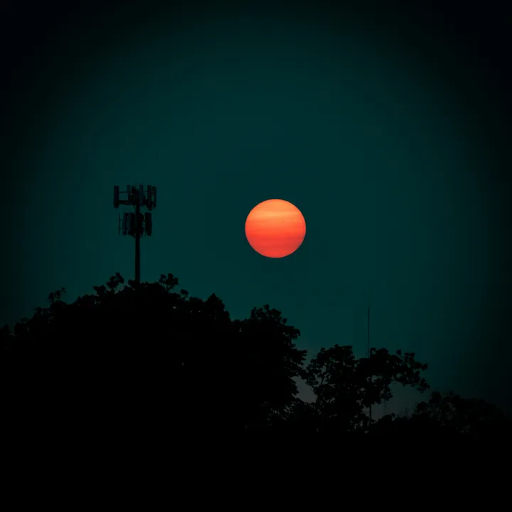 This is the image alt text