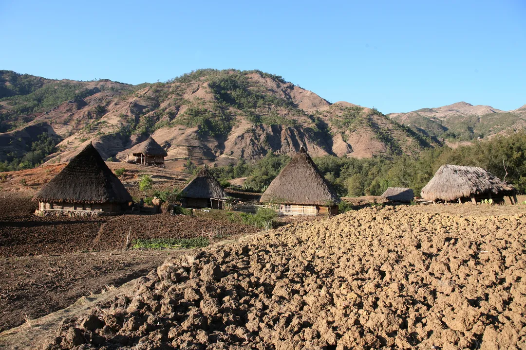 This is the image alt text