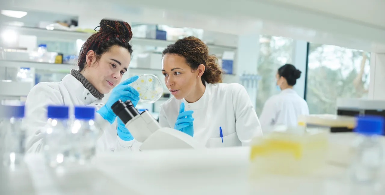 This is the image alt text