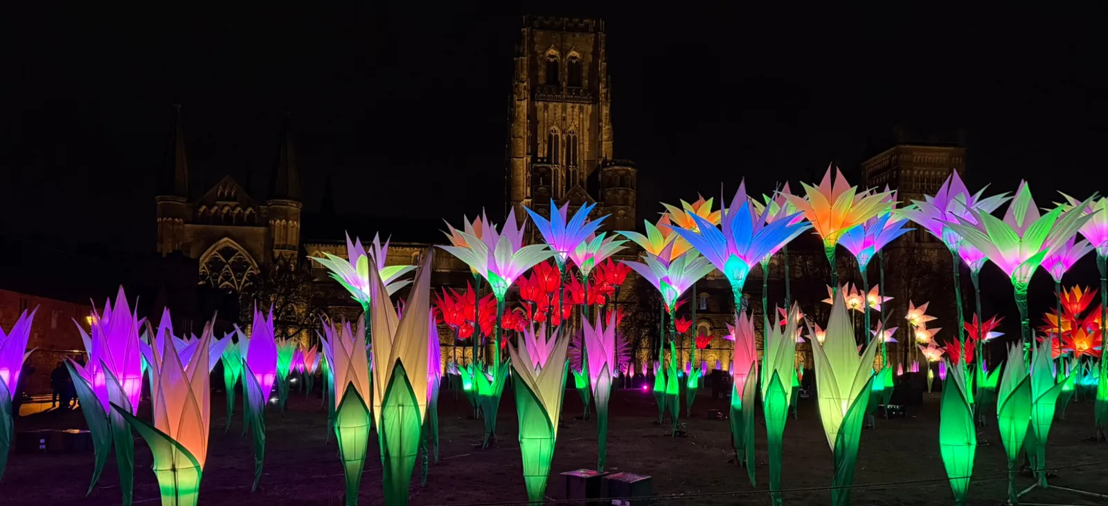 An array of giant, light-up flowers in a variety of colours, with Durham Cathedral and the night sky in the background.