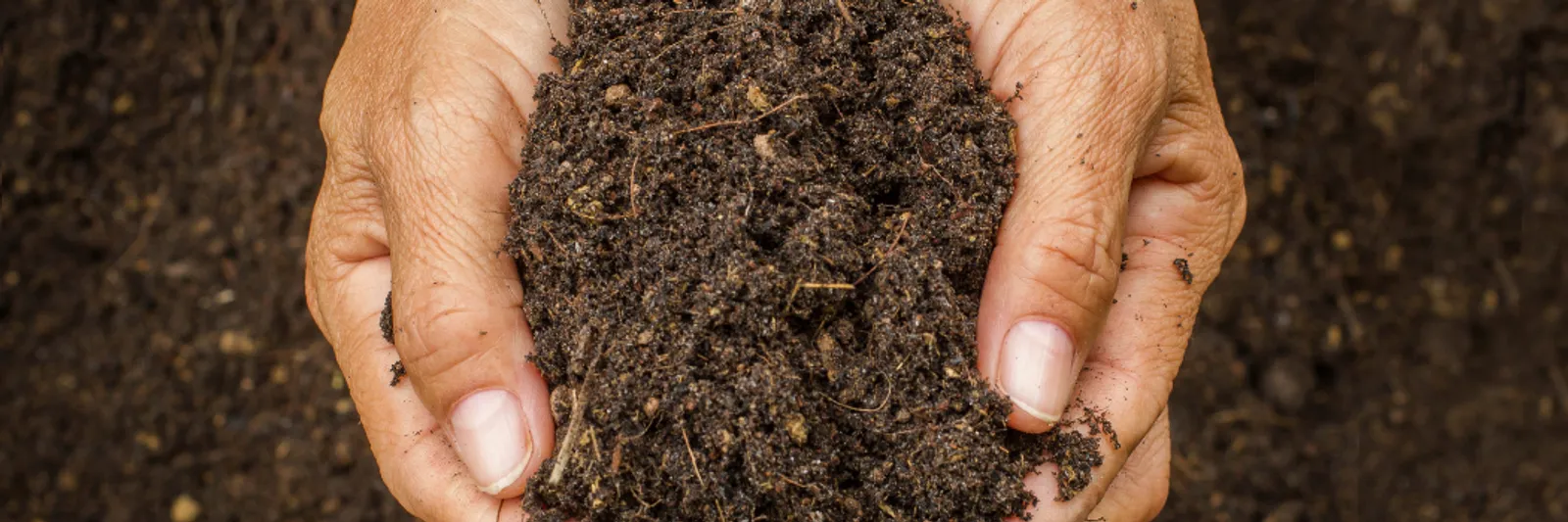 Soil health