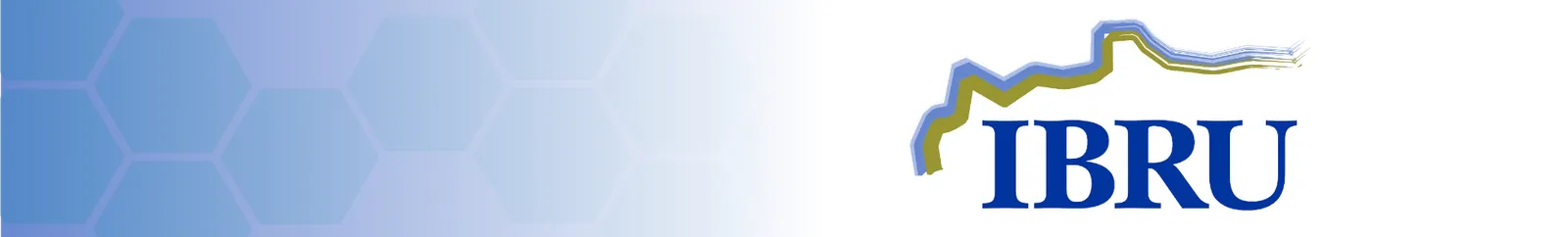 Smaller IBRU banner with logo