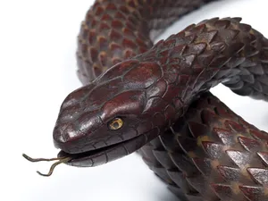 Articulated metal snake by Muneyoshi, 19th century