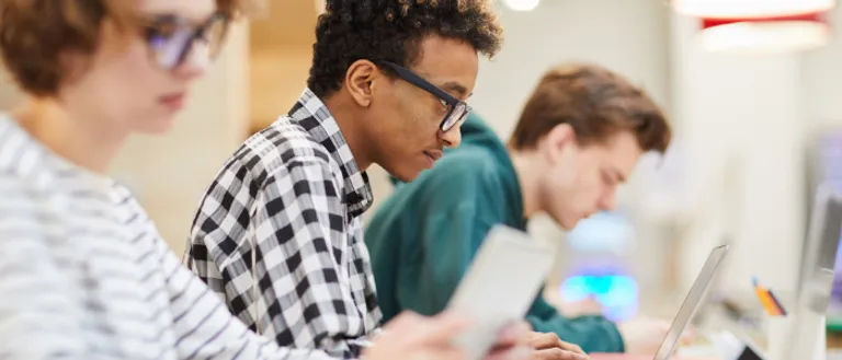 Young students work in a row at laptops