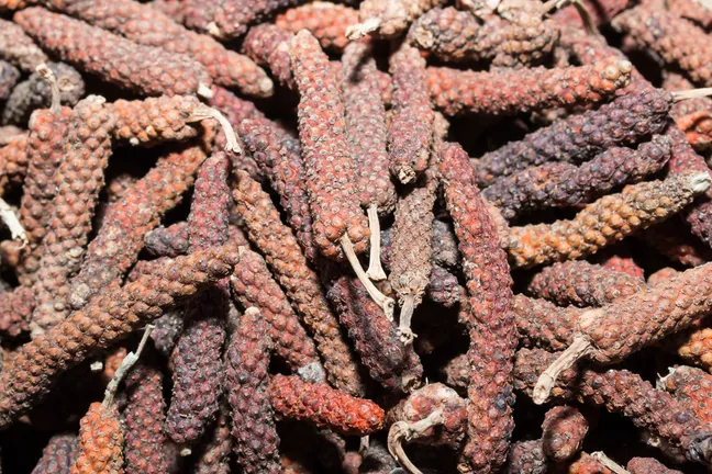 Long pepper