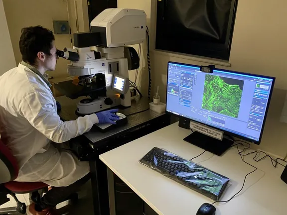 student using Zeiss 800 confocal microscope