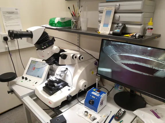 person using Leica ARTOS 3D for array tomography