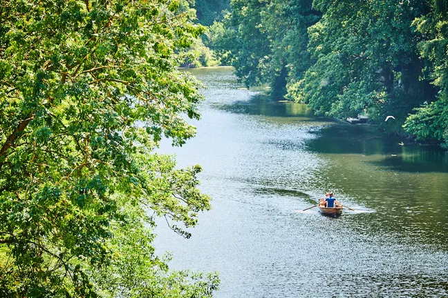 Rowing boat on river