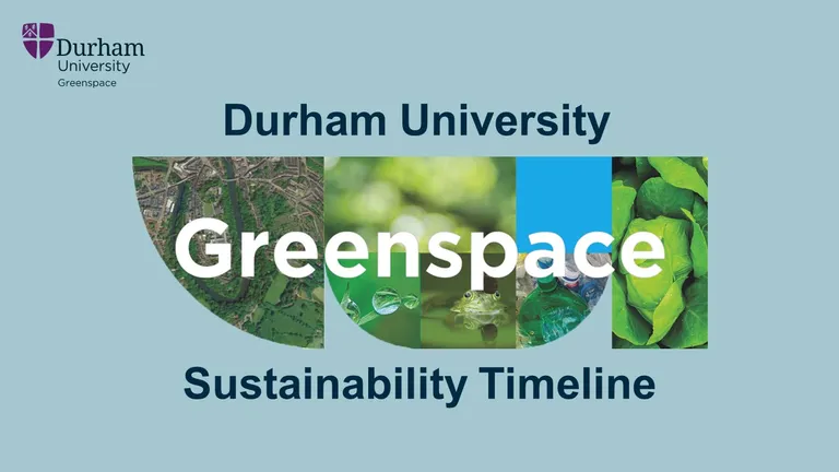 Sustainability timeline