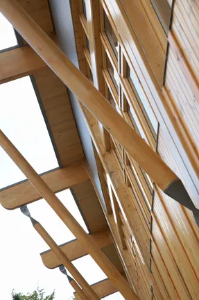 Close-Up External Al-Qasimi Building