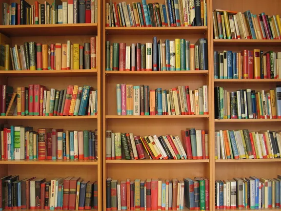 Bookshelf full of books