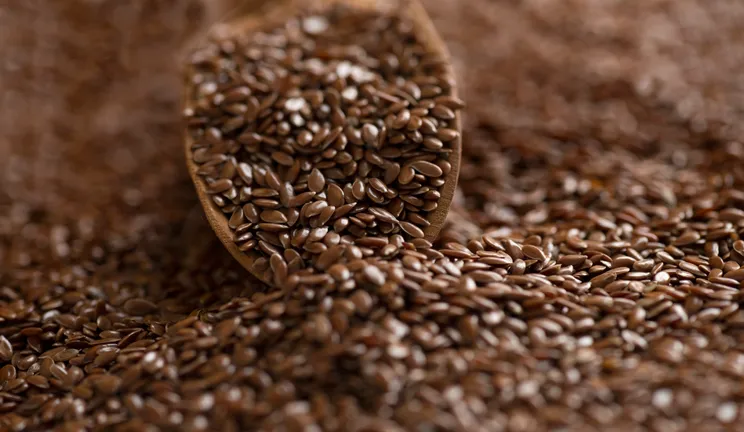 Flax seed