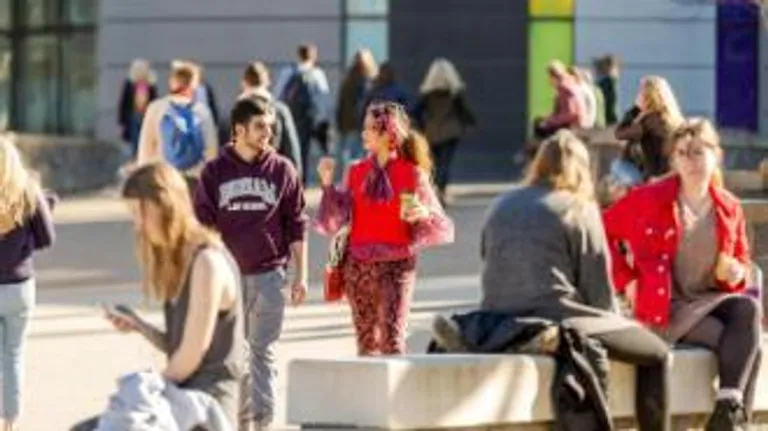 Former ISC students on Lower Mountjoy site
