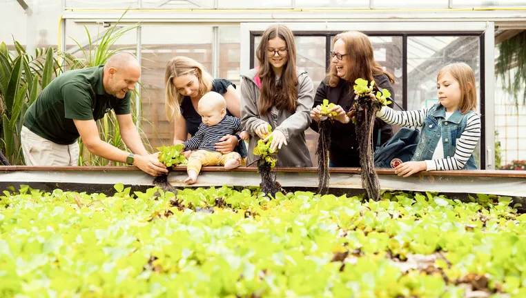 A family exploring the glasshouse at the Botanic Garden.