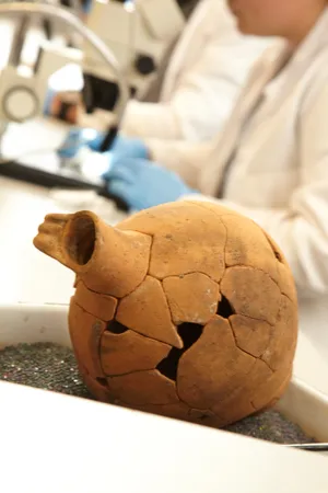 An artefact in a laboratory