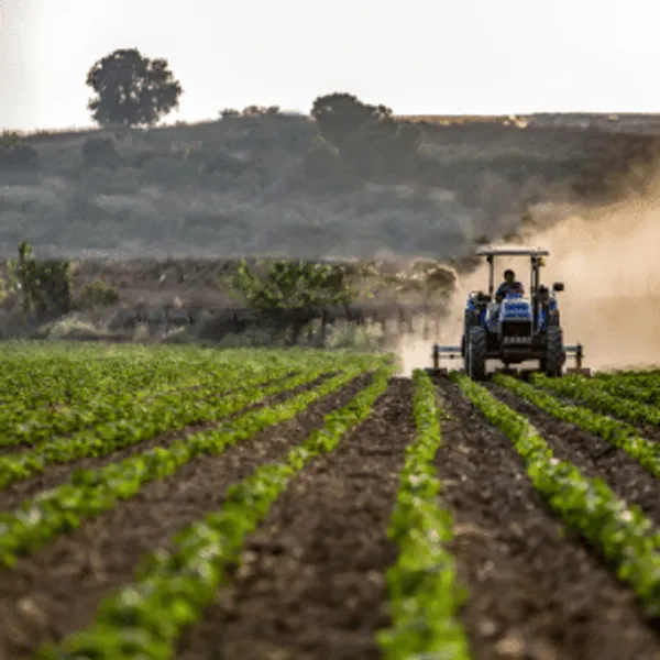 Tractor farming a crop
