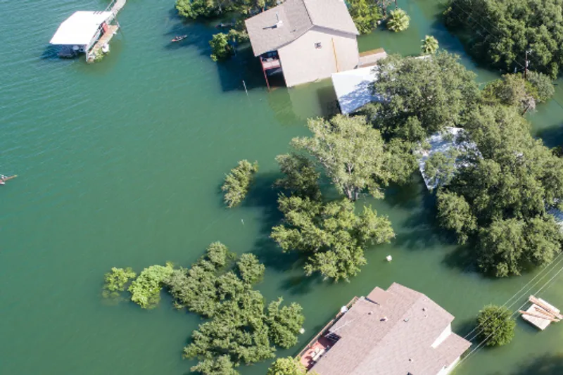 An aerial view of a shoreline with trees and buildings