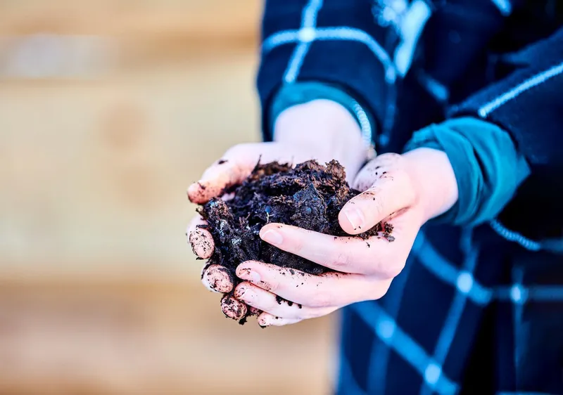 Hands holding compost