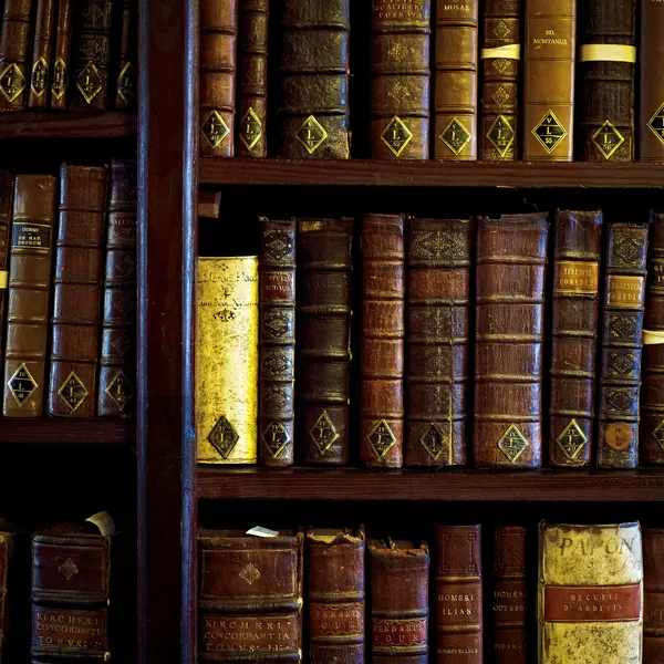 Palace Green Library books