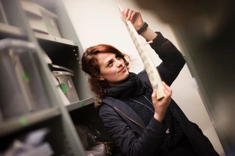 A student examining a long, tapered object as part of an Anthropology practical
