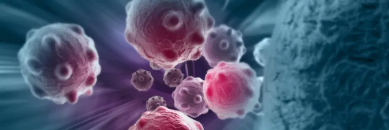 Artist impression of body cells