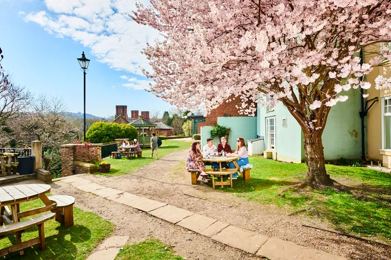 2 groups outside with nice tree