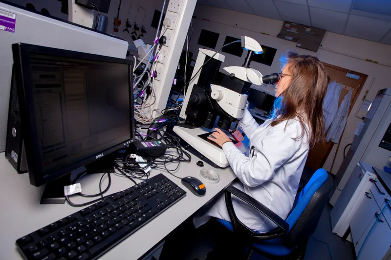 Student using stereo microscope