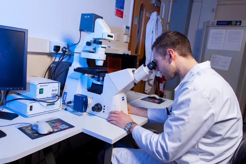 Student using Zeiss Apotome Axiovert 200M Microscope