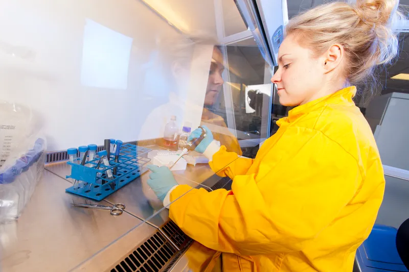 student carrying out cell culture