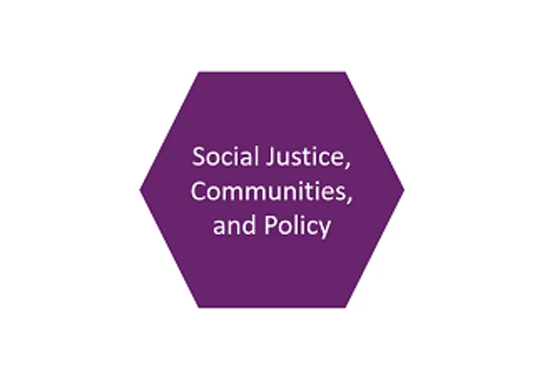 Social Justice hexagon