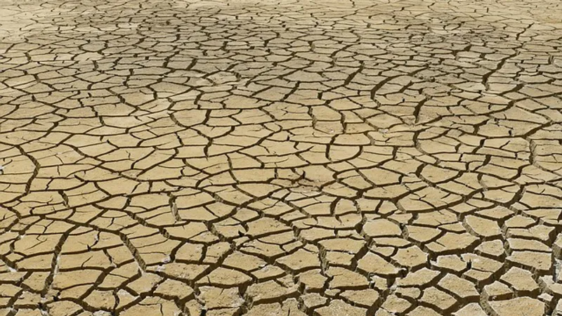 Dried up lake bed