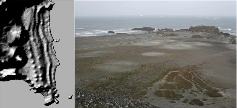 The geomorphological influence of Adélie penguins