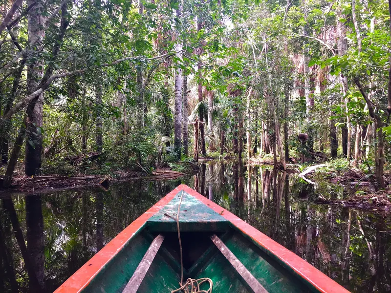 Boat trip in the Rainforest - Peruvian Amazon