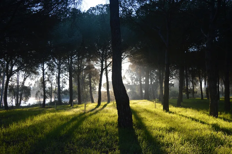 Year Abroad photography competition by MLAC