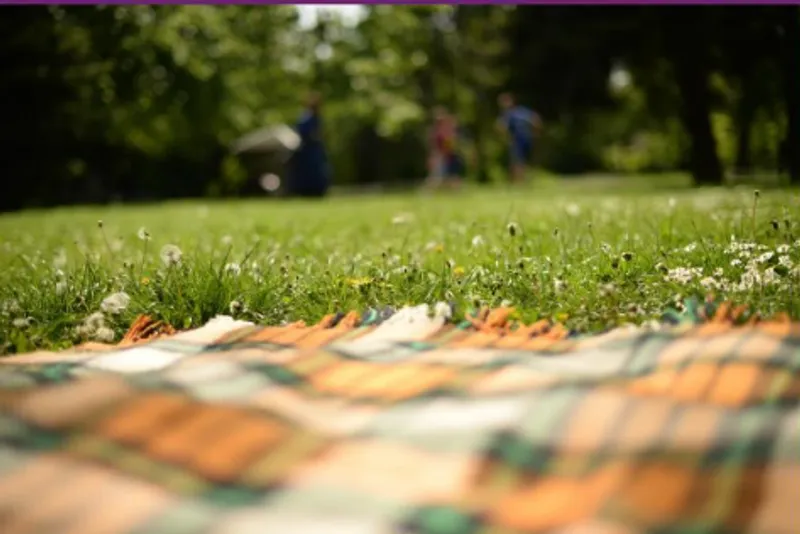 picnic rug on grass