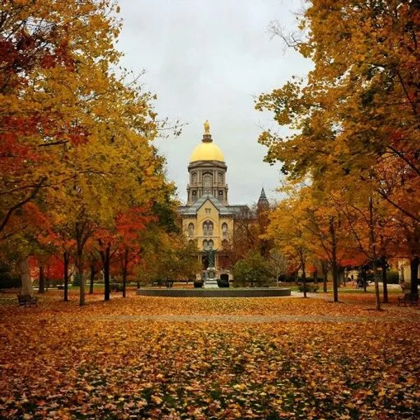 Domed building at the end of tree lined avenue in Autumn