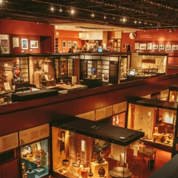 A panoramic view of the library collections