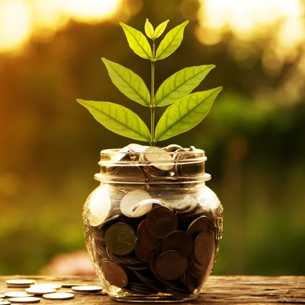 A tree growing out of a jar of coins
