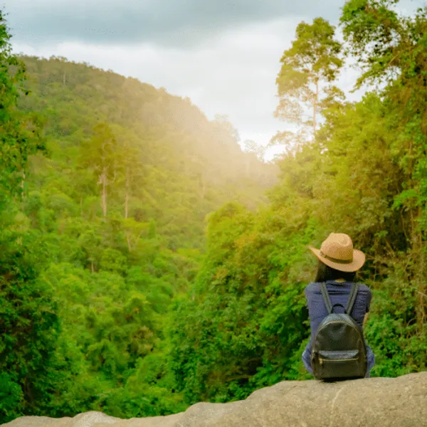 A woman sitting on a rock overlooking the forest.