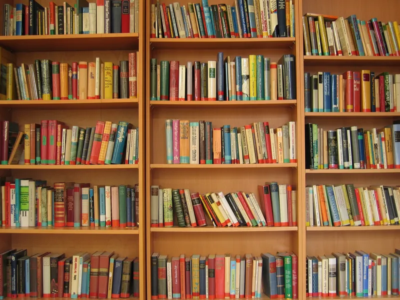 Bookshelf full of books