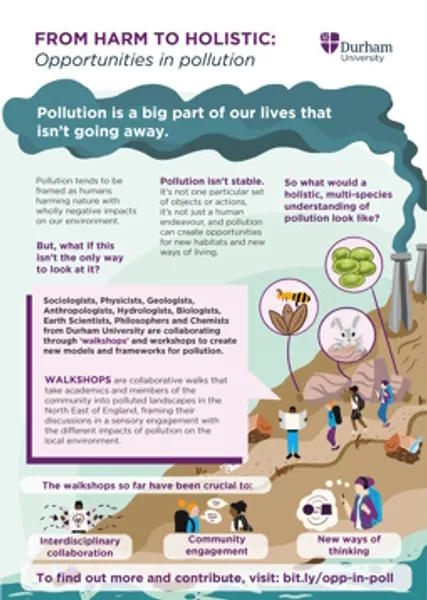 Infographic of the project