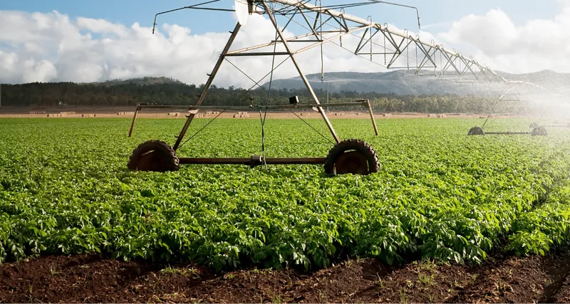 Plant Biotechnology and Enterprise