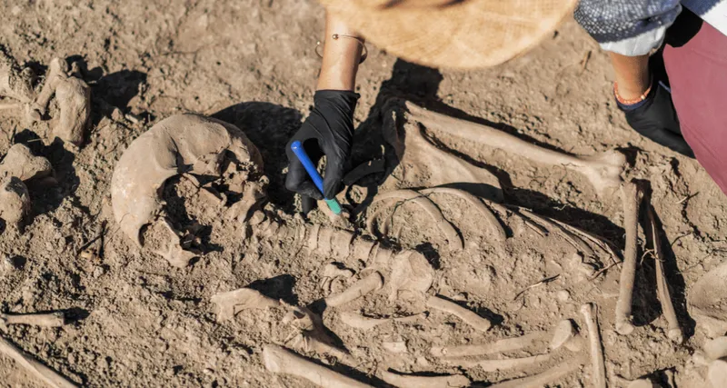 Anthropology and Archaeology